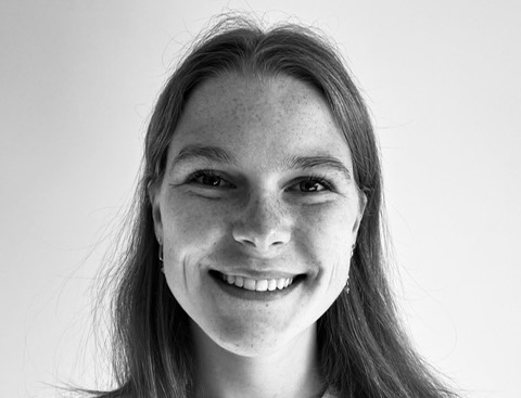 Flowlint Eline